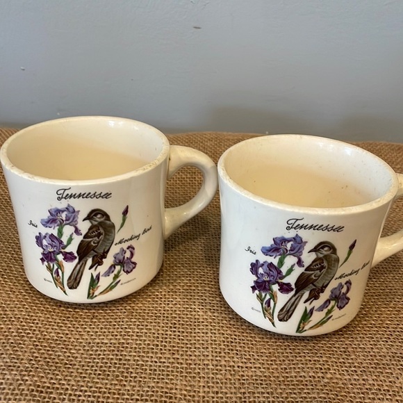 Tennessee coffee mugs vintage set with state bird & flower - Picture 1 of 3